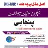 Lecturer Punjabi Guess Paper