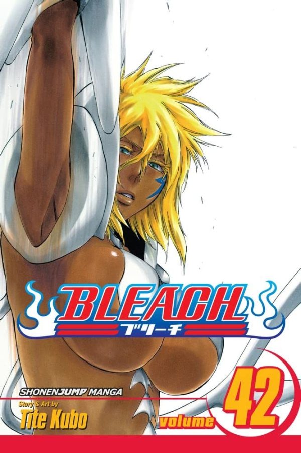 Bleach, Vol. 42 Paperback