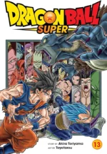 Dragon Ball Super, Vol. 13