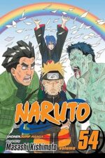 Naruto, Vol. 54: Viaduct to Peace Paperback