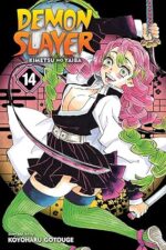 Demon Slayer: Kimetsu no Yaiba, Vol. 14 Paperback