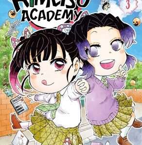 Demon Slayer: Kimetsu academy (Volume 3)